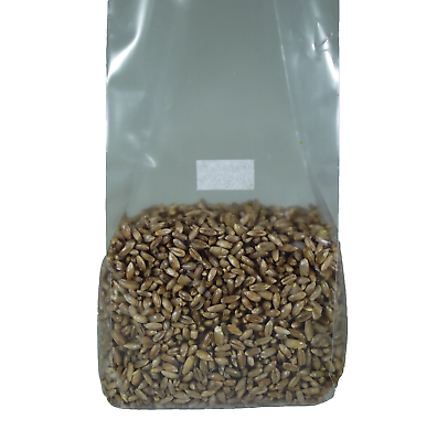 Sterilized Rye Berry Mushroom Substrate (two Individual One Pound Bags)