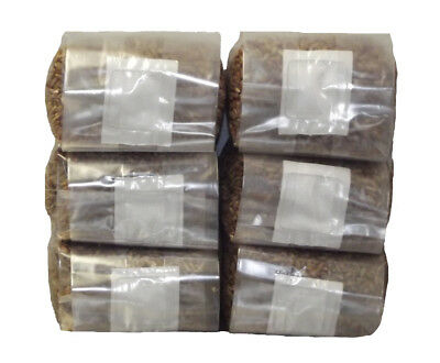 Sterilized Rye Berry Mushroom Substrate (6 Pack)